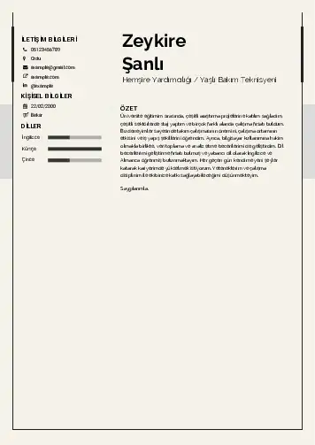 Hasta ve Yaşlı Bakım Elemanı Cv Örnekleri cv indir